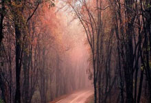 开云体育app-波兰乒乓逆战法国，马龙神勇再现传奇精彩