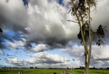 开云体育中国-日本男篮逆转爵士，莫兰特爆发引爆全场激情