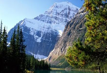 开云体育直播-欧洲网球队强势碾压英国队，费德勒意外助攻引爆赛场热潮