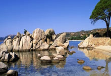 开云APP-PSG逆转FLY，Nemesis制霸全场